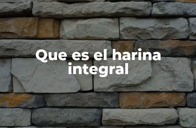 Que es el Harina Integral
