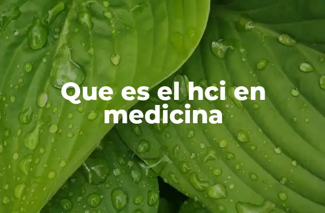 Que es el Hci en Medicina