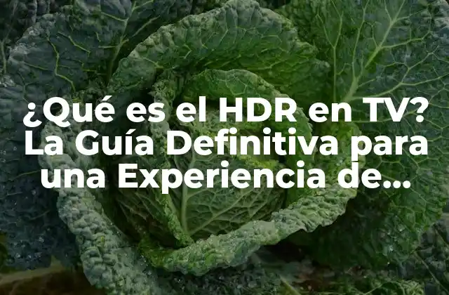 ¿qué es el Hdr en Tv? la Guía Definitiva para una Experiencia de Visualización Increíble