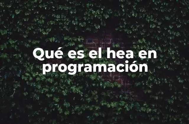El papel de los acrónimos en la programación