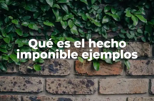 Cómo funciona el hecho imponible en el sistema fiscal
