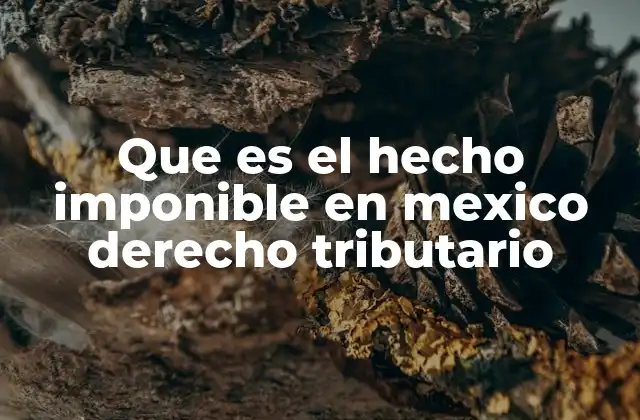 Que es el Hecho Imponible en Mexico Derecho Tributario
