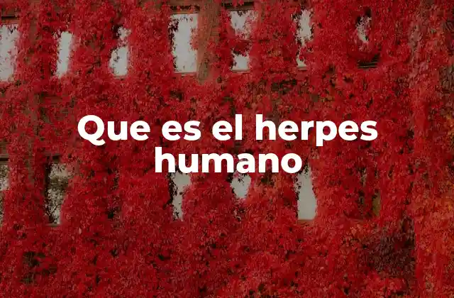 Que es el Herpes Humano 2 Transmisión y contagio del virus del herpes