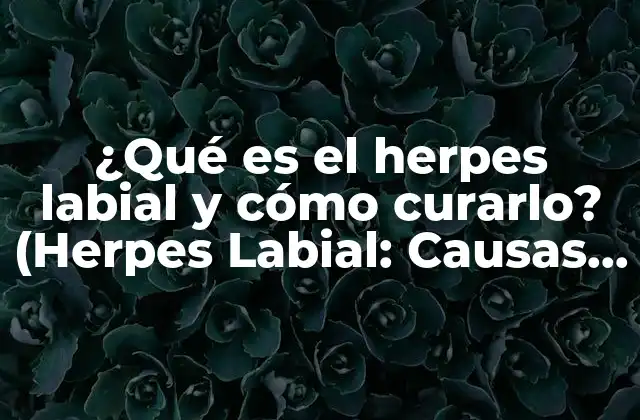 ¿qué es el Herpes Labial y Cómo Curarlo? (herpes Labial: Causas, Síntomas y Tratamiento)