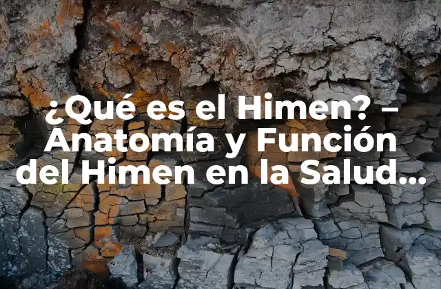¿qué es el Himen? – Anatomía y Función Del Himen en la Salud Femenina