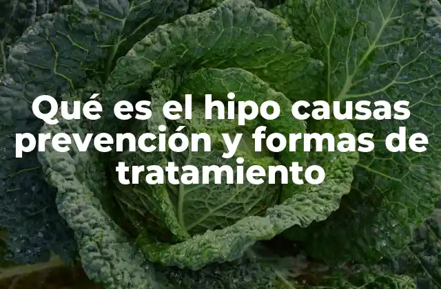 Qué es el Hipo Causas Prevención y Formas de Tratamiento