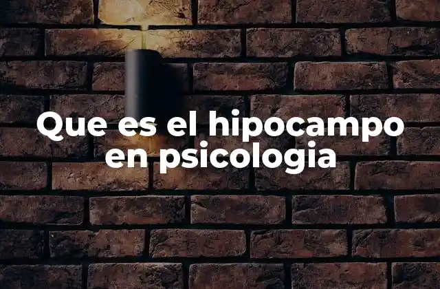 Que es el Hipocampo en Psicologia