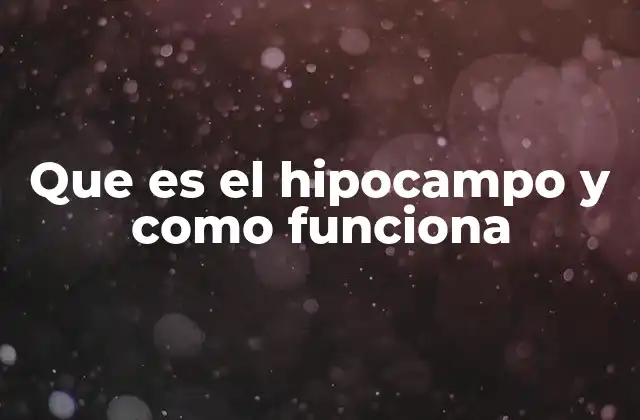 Que es el Hipocampo y como Funciona