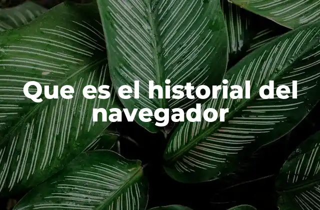 La importancia del historial en la navegación digital