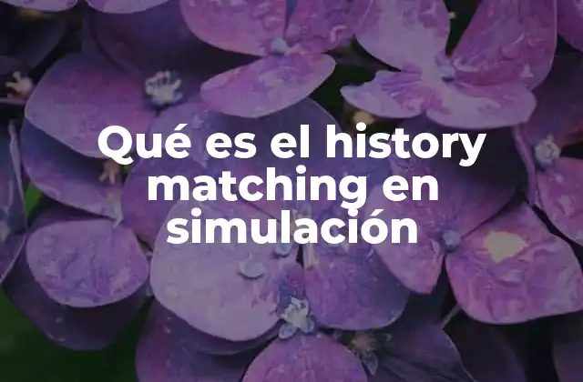 Qué es el History Matching en Simulación