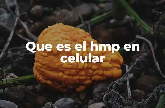 Que es el Hmp en Celular