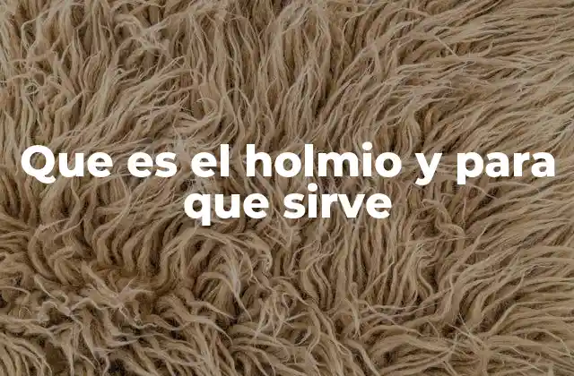 Que es el Holmio y para que Sirve