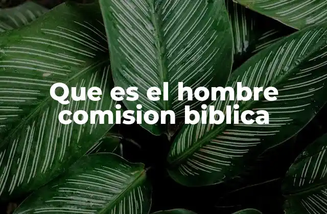 Que es el Hombre Comision Biblica