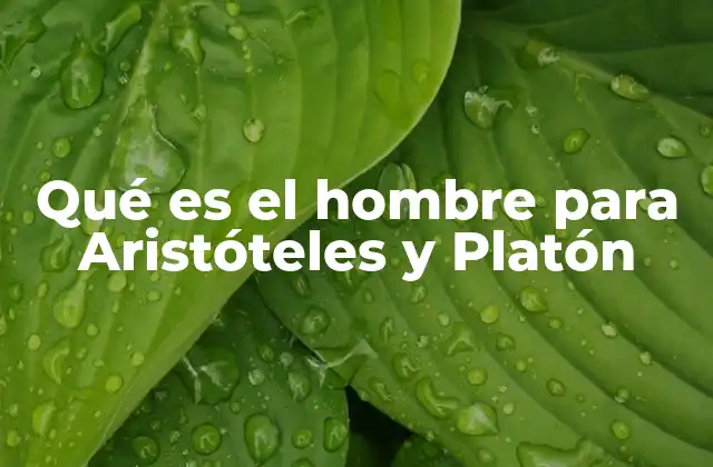 Qué es el Hombre para Aristóteles y Platón 2 La visión del ser humano en la filosofía clásica