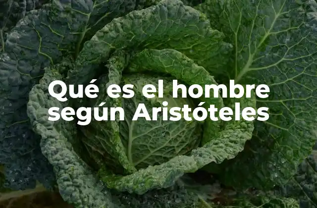 Qué es el Hombre según Aristóteles