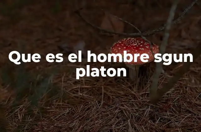 Que es el Hombre Sgun Platon 2 La concepción platoniana del ser humano