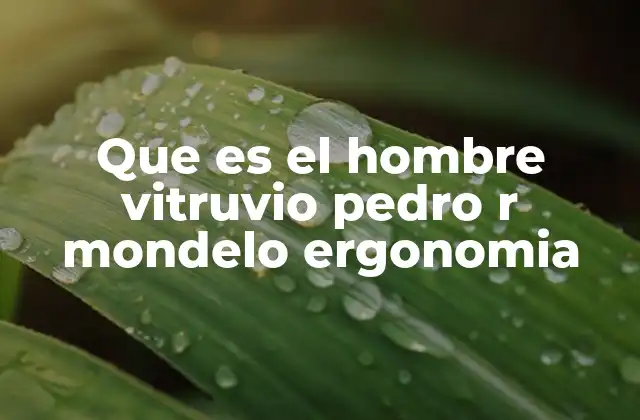 Que es el Hombre Vitruvio Pedro R Mondelo Ergonomia
