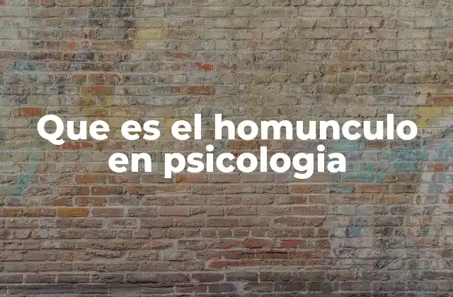 Que es el Homunculo en Psicologia