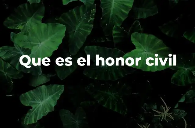 Que es el Honor Civil