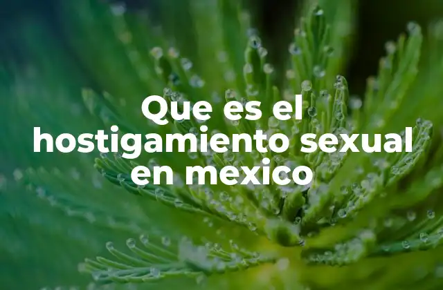 Que es el Hostigamiento Sexual en Mexico