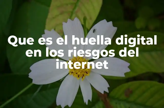 Que es el Huella Digital en los Riesgos Del Internet