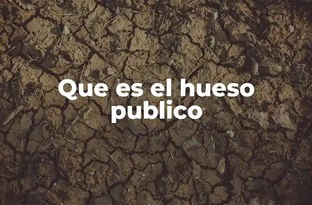 La importancia del hueso púbico en la anatomía pélvica