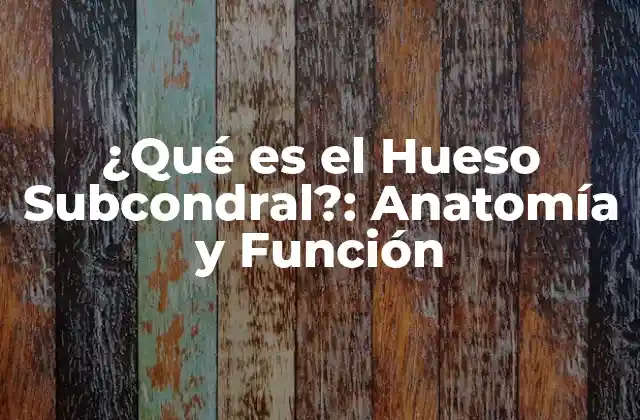 ¿qué es el Hueso Subcondral?: Anatomía y Función