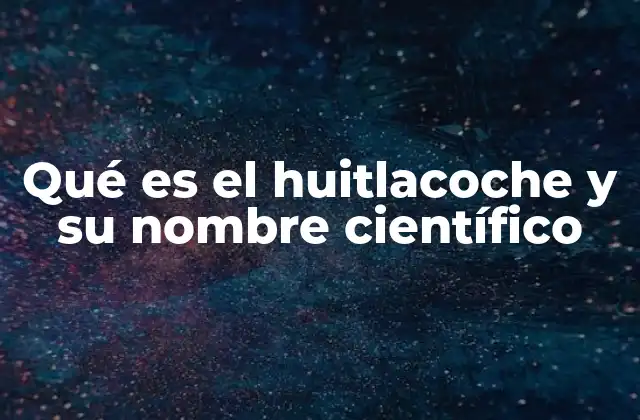 Qué es el Huitlacoche y Su Nombre Científico