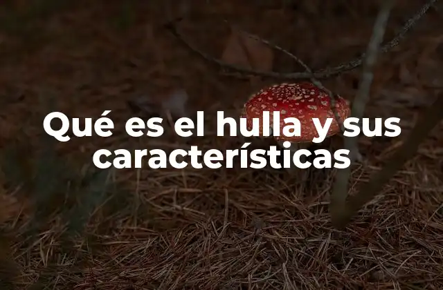 Qué es el Hulla y Sus Características