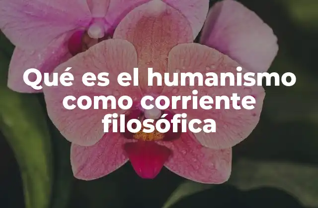 Qué es el Humanismo como Corriente Filosófica