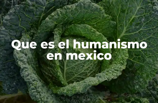 Que es el Humanismo en Mexico