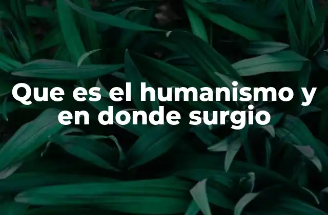 Que es el Humanismo y en Donde Surgio