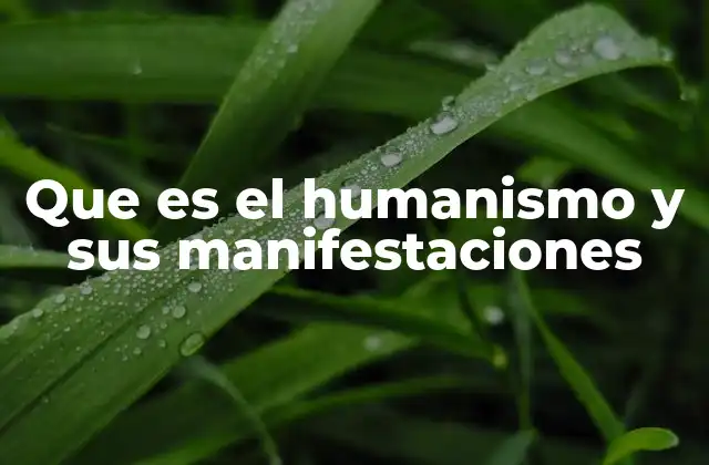 Que es el Humanismo y Sus Manifestaciones