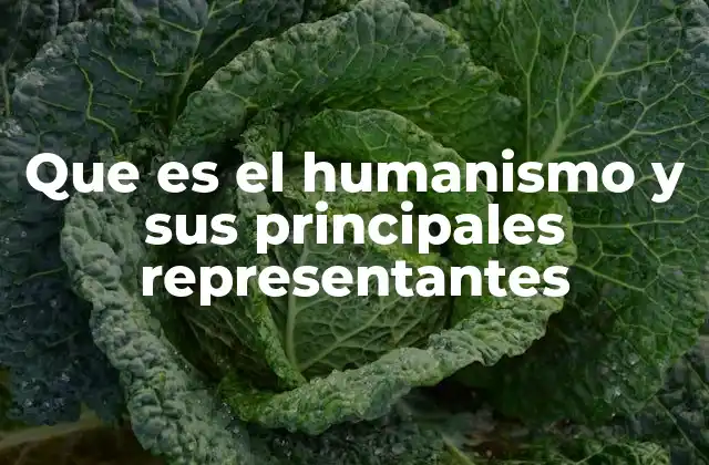 Que es el Humanismo y Sus Principales Representantes