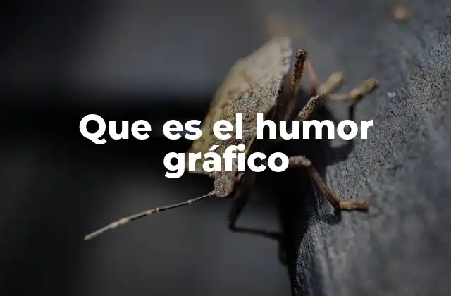 Que es el Humor Gráfico
