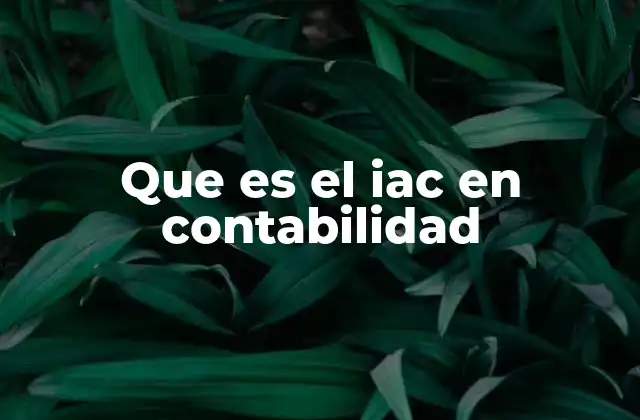 La importancia del IAC en la estructura fiscal