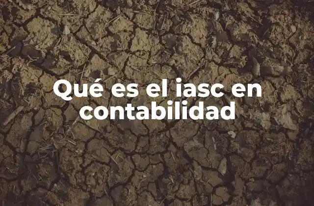Qué es el Iasc en Contabilidad