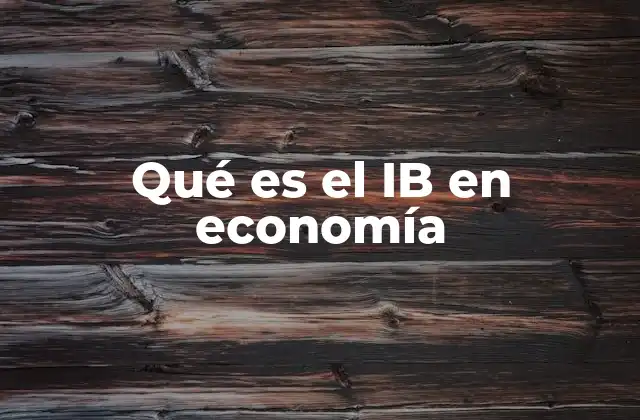 Qué es el Ib en Economía