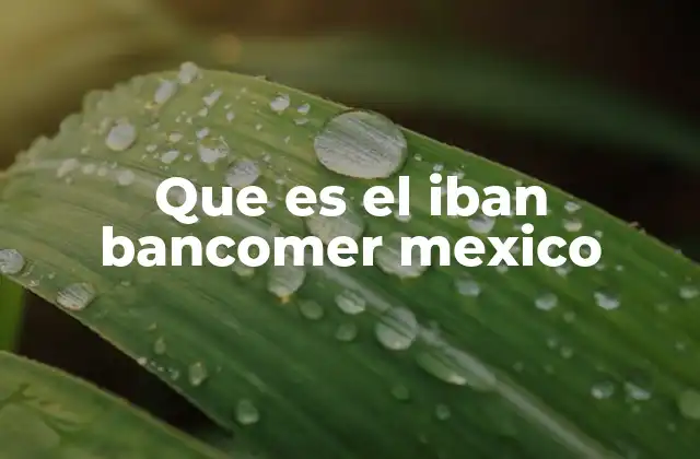 Que es el Iban Bancomer Mexico 2 La importancia del IBAN en operaciones internacionales
