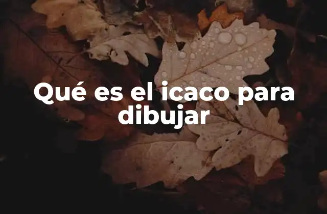 Qué es el Icaco para Dibujar