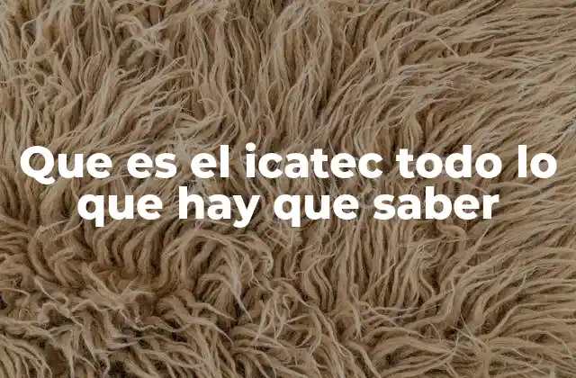 Que es el Icatec Todo Lo que Hay que Saber
