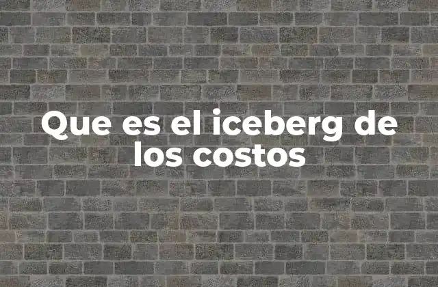 Que es el Iceberg de los Costos