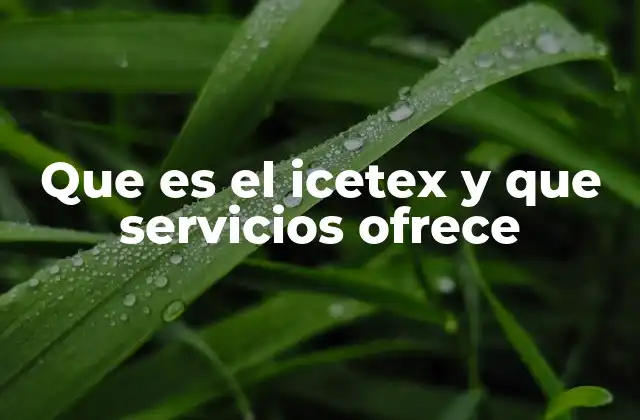 Que es el Icetex y que Servicios Ofrece