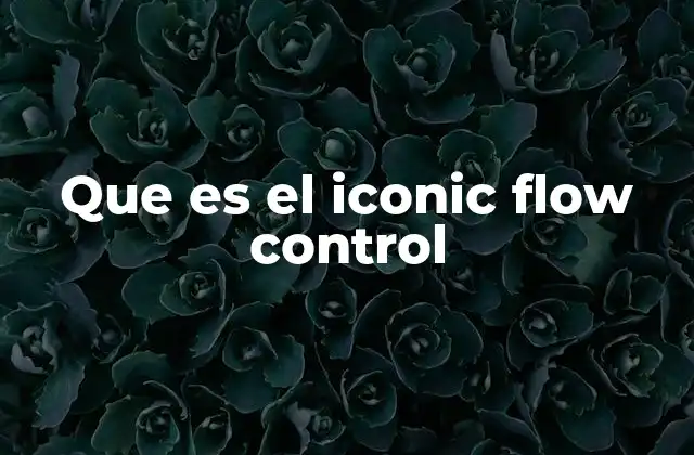 Que es el Iconic Flow Control