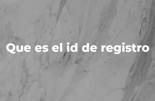 Que es el Id de Registro