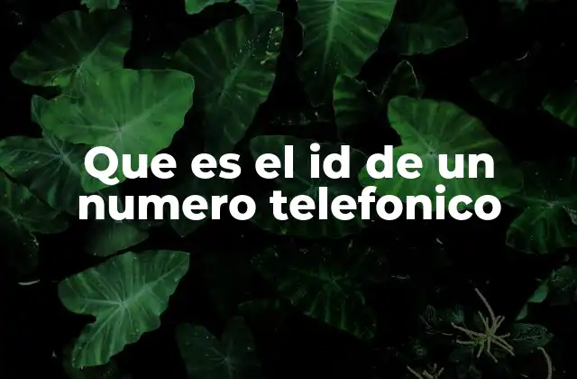 Que es el Id de un Numero Telefonico