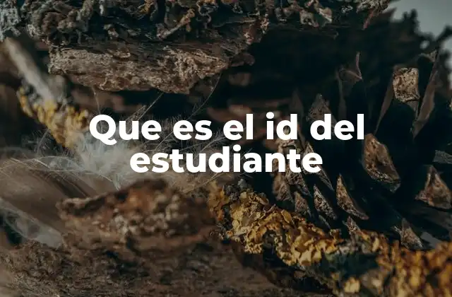 Que es el Id Del Estudiante 2 La importancia del identificador único en el ámbito educativo