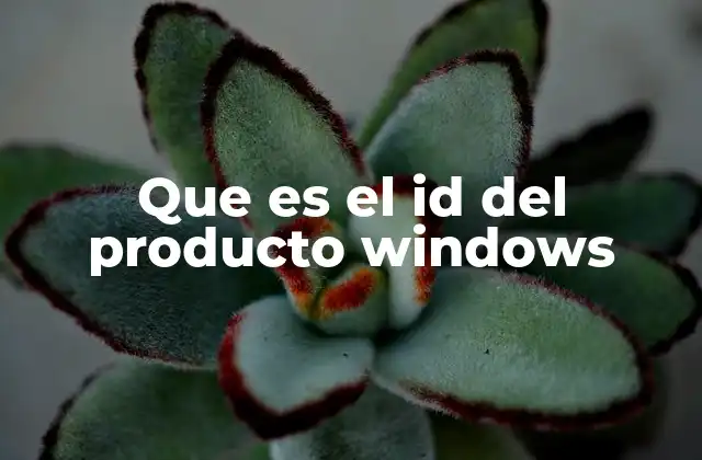 Que es el Id Del Producto Windows