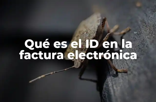 La importancia del identificador único en documentos electrónicos