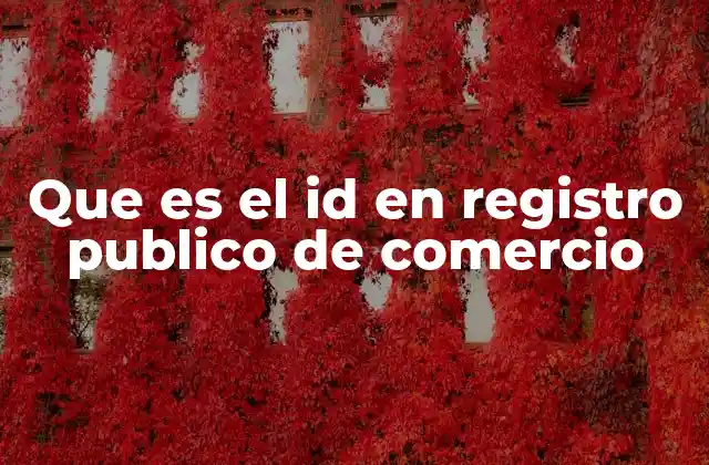 Que es el Id en Registro Publico de Comercio